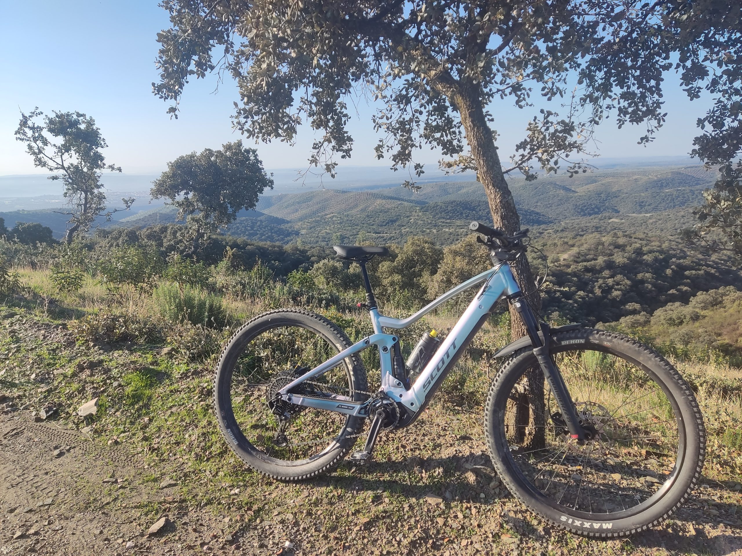 IMG_20241112_100354-1